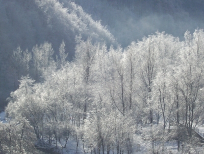  Image name: molino capodanno  2009 303 (216).jpg 
 width: 400 pixel 
 height: 301 pixel 
 Size: 106396 bytes 
 Click to enlarge 